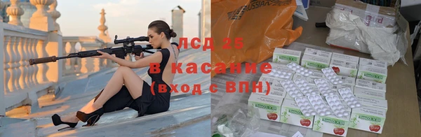 ГАЛЛЮЦИНОГЕННЫЕ ГРИБЫ Касимов