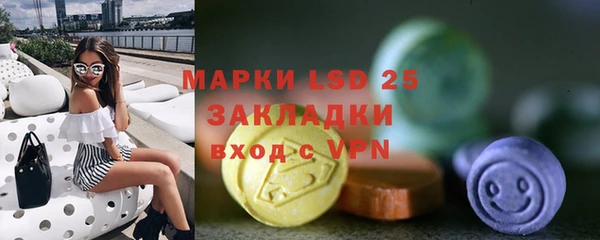 ГАЛЛЮЦИНОГЕННЫЕ ГРИБЫ Касимов