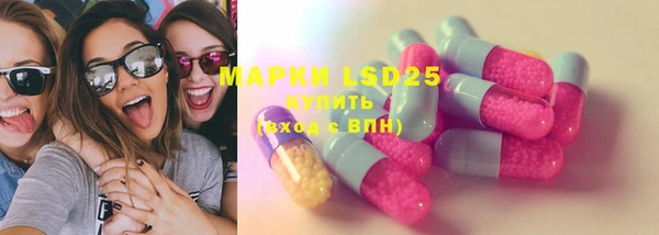ГАЛЛЮЦИНОГЕННЫЕ ГРИБЫ Касимов