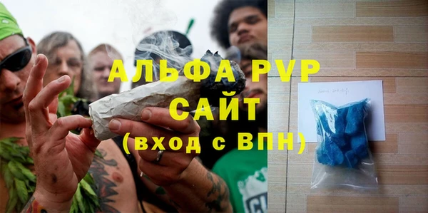 индика Киреевск